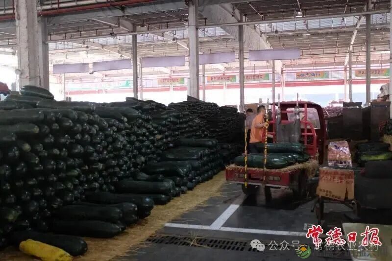 蔬菜日均供应量达4500吨 常德国际农产品交易中心国庆中秋假期“货足价优”(图3) 土豆3.jpg