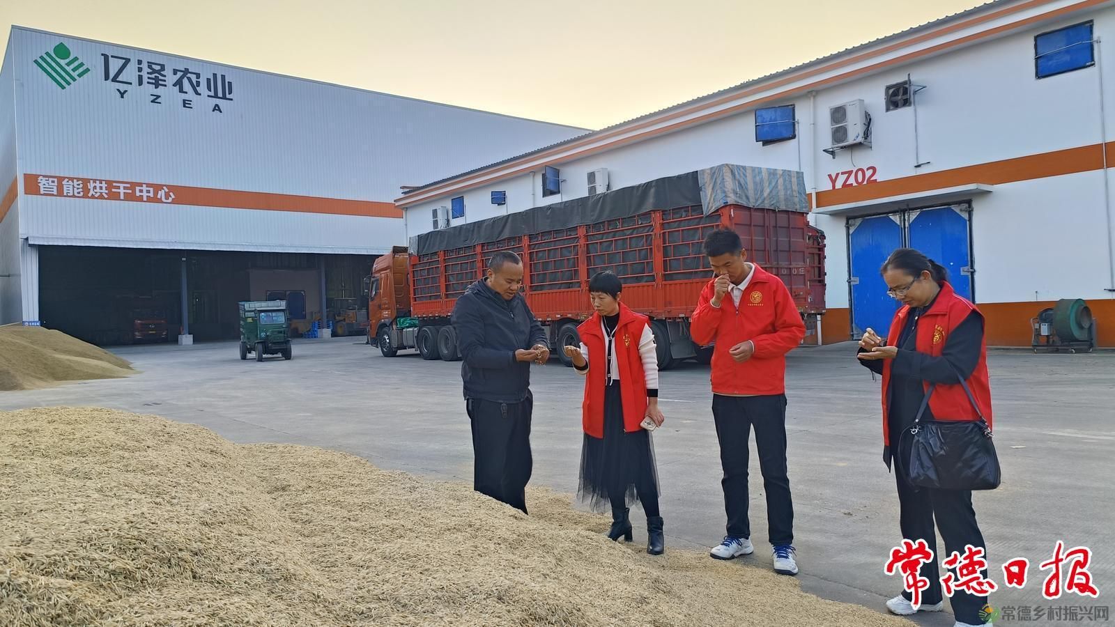 稻浪映初心 服务润沅澧——常德市农科院水稻产业专家服务团助农兴粮侧记