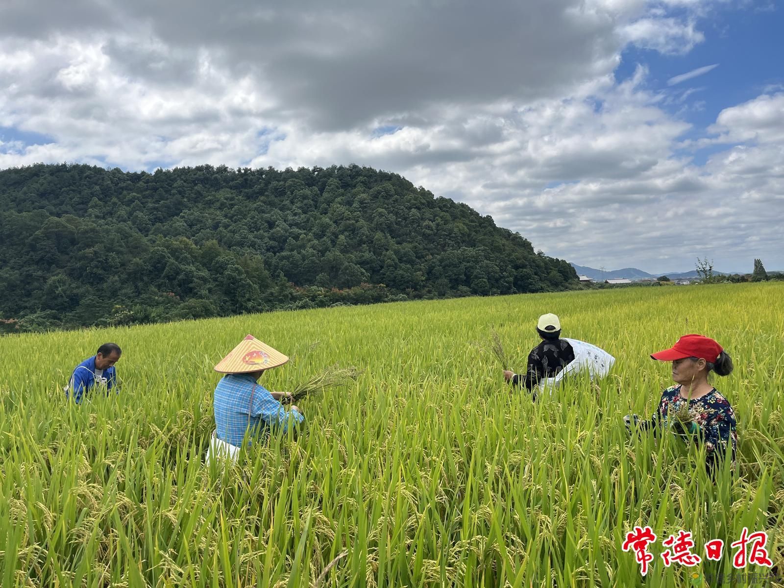 绿野寻梦新农人——记范国军的生态致富路