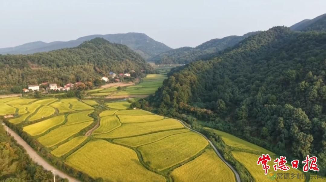 绿野寻梦新农人——记范国军的生态致富路(图3)