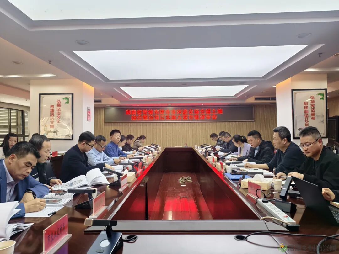 常德第一批全域土地综合整治项目实施方案通过市级评审(图1) 自然1.jpg