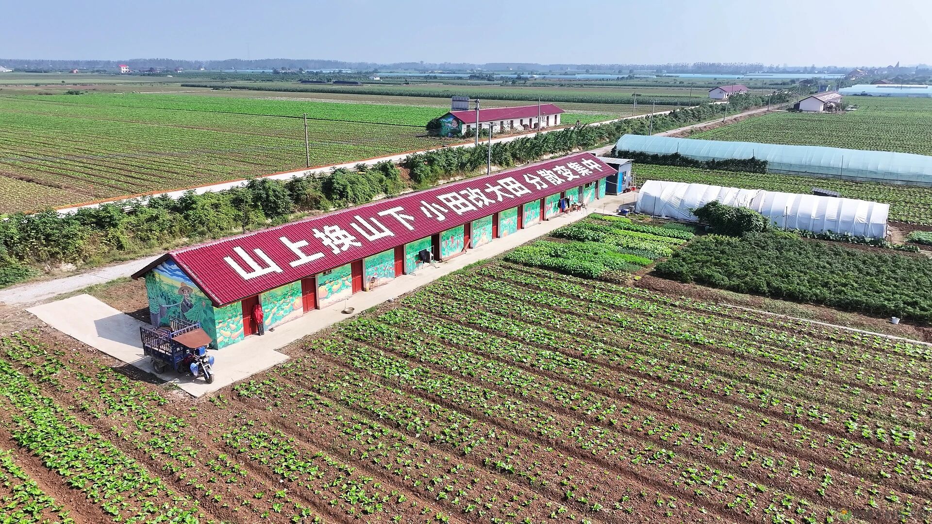 湖南改革专报推介|常德市:全力推进汛旱并防与耕地置换协同改革(图4) 草1.jpg