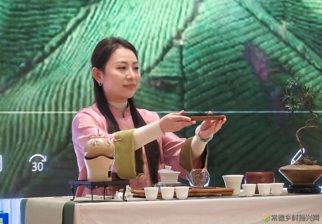 茶艺大赛|2025年常德市茶艺师职业技能竞赛圆满落幕(图29) 31.jpg