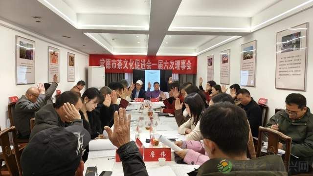 聚焦｜常德市茶文化促进会一届六次理事会召开(图7)