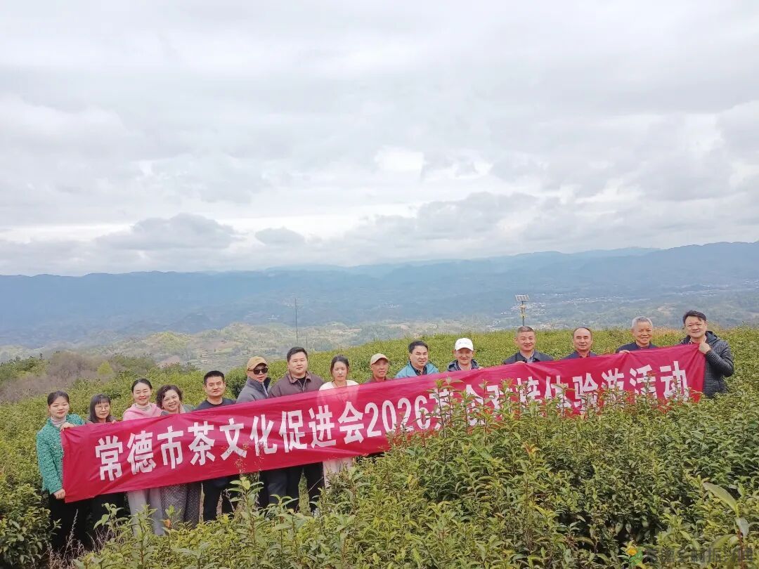 寻觅茶香｜常德市茶文化促进会开展石门成员单位天下康茶企对接活动(图1)