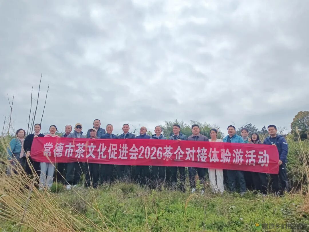 寻觅茶香｜常德市茶文化促进会开展石门成员单位天下康茶企对接活动(图2)