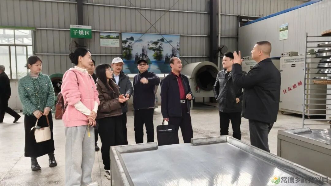 寻觅茶香｜常德市茶文化促进会开展石门成员单位天下康茶企对接活动(图5)