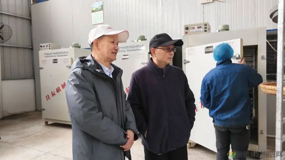 寻觅茶香｜常德市茶文化促进会开展石门成员单位天下康茶企对接活动(图7)