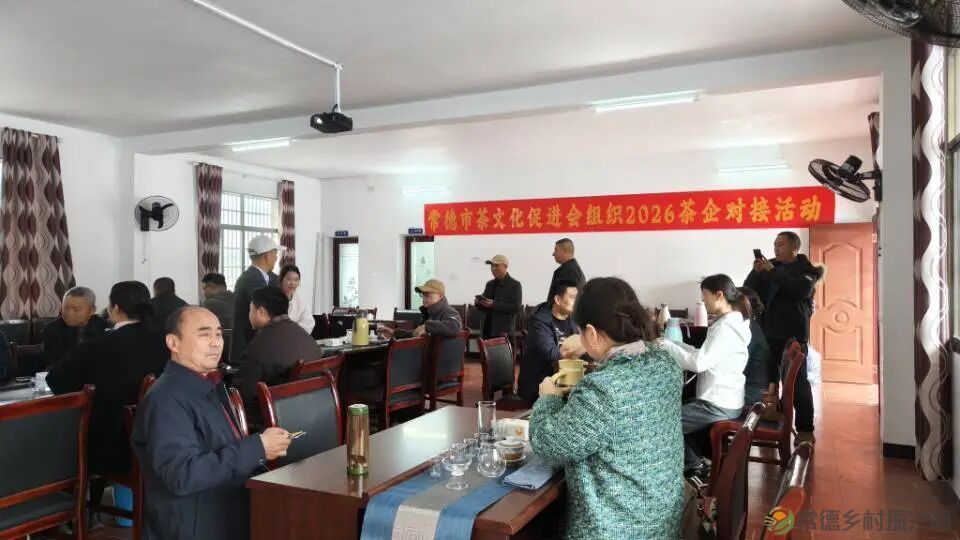 寻觅茶香｜常德市茶文化促进会开展石门成员单位天下康茶企对接活动(图9)