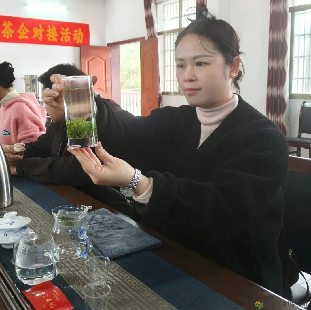 寻觅茶香｜常德市茶文化促进会开展石门成员单位天下康茶企对接活动(图18)