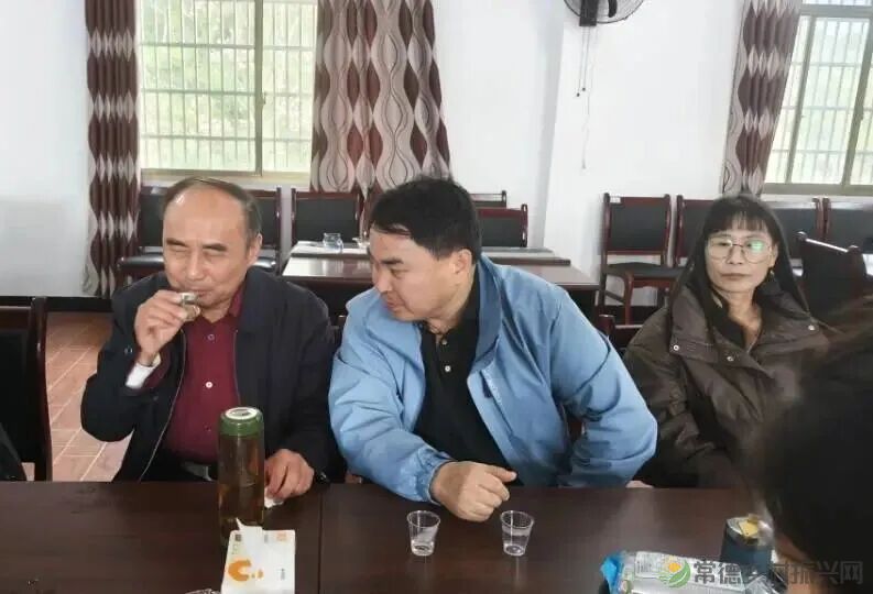 寻觅茶香｜常德市茶文化促进会开展石门成员单位天下康茶企对接活动(图24)