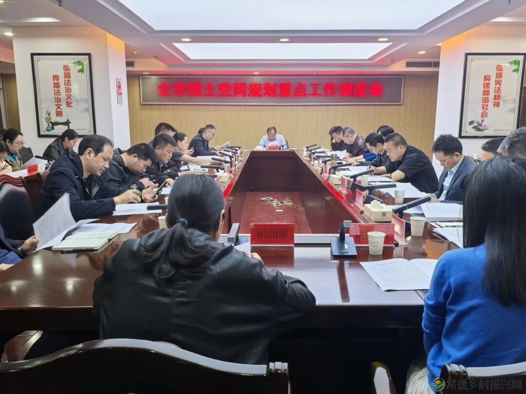 常德市自然资源和规划局调度国土空间规划重点工作.jpg