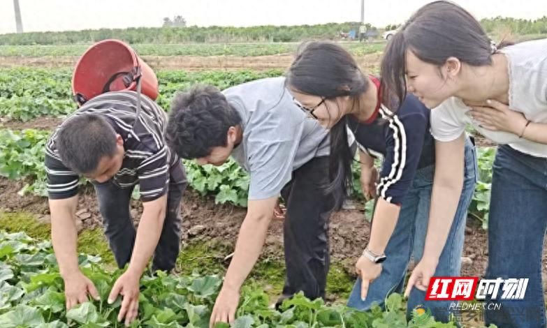 田间有“驿站”,云端有“青春” 鼎城区“青春E课堂”探索大学生就业助农新路径(图1) 田间有“驿站”,云端有“青春” 鼎城区“青春E课堂”探索大学生就业助农新路径(图1)