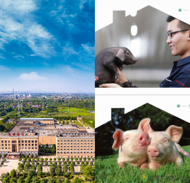 【惠生新闻】厉兵秣马备战忙,奋进惠生新征程——集团养殖军事化集训完美收官!(图11) 微信图片_20230306230221.png